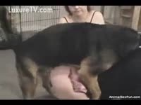 Two beastie gal shares a dog cock